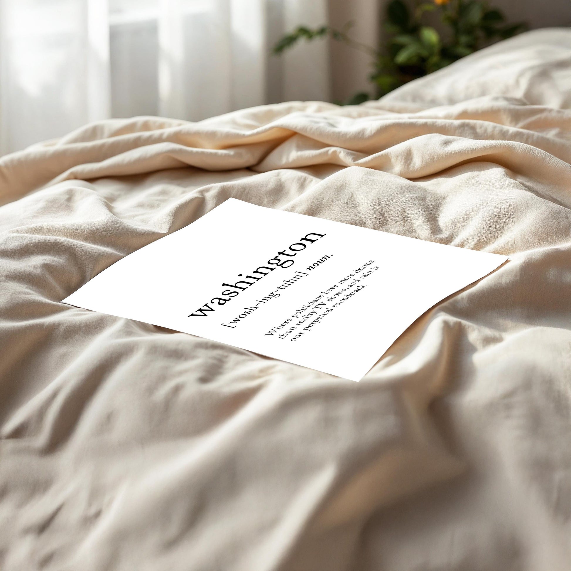 Washington Funny Definition Quote Wall Art · Minimalist Home Decor · Large Wall Decor · Framed Poster Print & Canvas United States Gifts