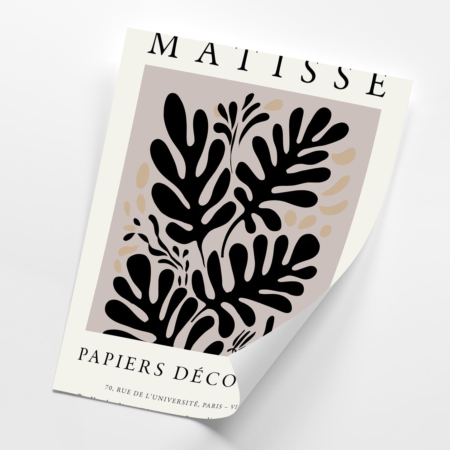 Matisse Inspired Wall Art Set of 3, Abstract Botanical Prints, Modern Minimal Gallery Poster Artwork, Living Room Home Decor