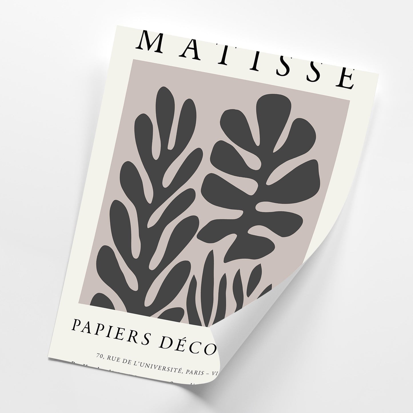 Matisse Inspired Wall Art Set of 3, Abstract Botanical Prints, Modern Minimal Gallery Poster Artwork, Living Room Home Decor